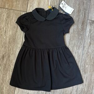 Polo Ralph Lauren Knit Ponte Dress with Peter Pan Collar